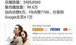 缅北医生爆料视频播放网站,视频播放网站背后的惊人真相
