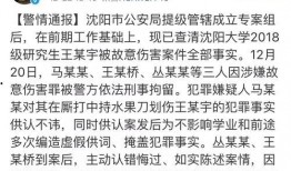 沈阳学生爆料案件最新,校园疑云揭开真相一角