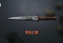 暗区近战武器最新爆料,神秘性能引发热议