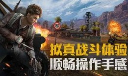 和平精英奶爸爆料视频播放,揭秘游戏幕后制作与精彩瞬间