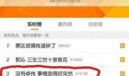 卓伟爆料整容过程视频,惊心动魄的美丽蜕变