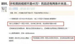 爆料视频收费,揭秘收费背后的真相与争议